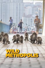 Wild Metropolis