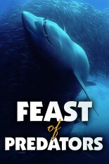 Feast of Predators