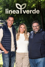 Linea verde