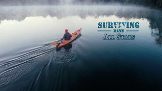 Surviving Mann: All Stars