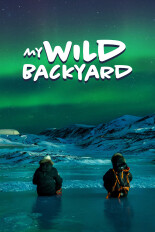 My Wild Backyard