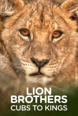Lion Brothers: Cubs To Kings