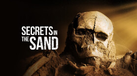 Secrets in the Sand