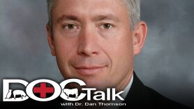 DocTalk