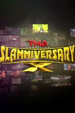 TNA Slammiversary 2012
