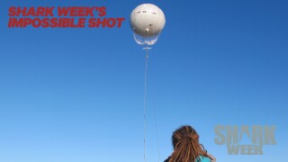 Shark Week's Impossible Shot