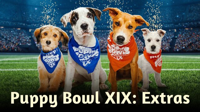 Puppy Bowl XIX: Extras