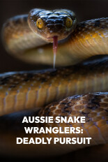Aussie Snake Wranglers: Deadly Pursuit