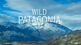 Wild Patagonia