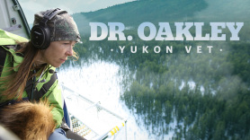 Dr. Oakley, Yukon Vet