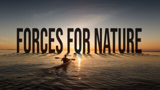Forces for Nature