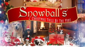Snowball's Christmas Tails by the Fire