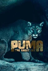 Puma: Ghost Cat