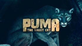 Puma: Ghost Cat