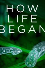 How Life Began
