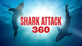 Shark Attack 360