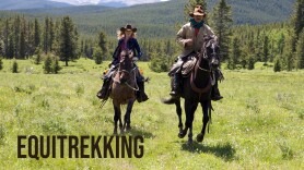 Equitrekking
