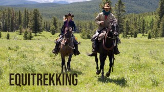 Equitrekking