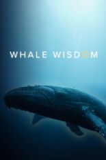 Whale Wisdom