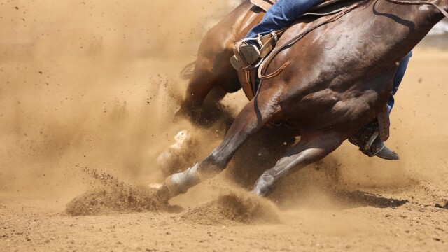 National Finals Breakaway Roping