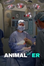 Animal ER