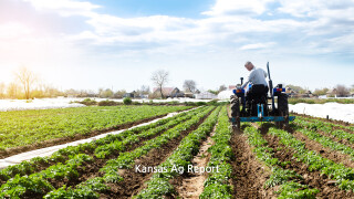 Kansas Ag Report