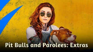 Pit Bulls and Parolees: Extras