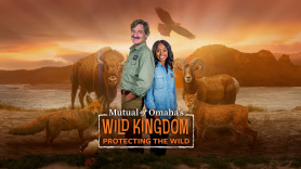 Mutual of Omaha's Wild Kingdom Protecting the Wild