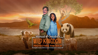 Mutual of Omaha's Wild Kingdom Protecting the Wild