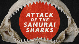 Attack of the Samurai Sharks