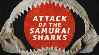 Attack of the Samurai Sharks