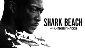 Shark Beach With Anthony Mackie: Gulf Coast