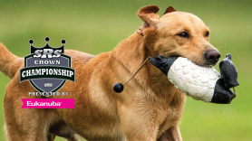 The Super Retriever Series Crown Championship