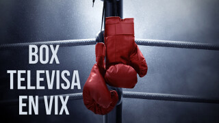 Box Televisa en Vix
