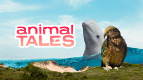 Animal Tales