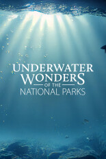 Underwater Wonders of the National Parks