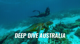 Deep Dive Australia