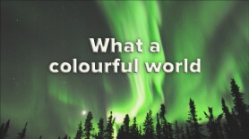 What a colourful world