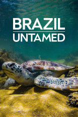 Brazil Untamed