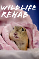 Wildlife Rehab