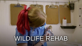 Wildlife Rehab