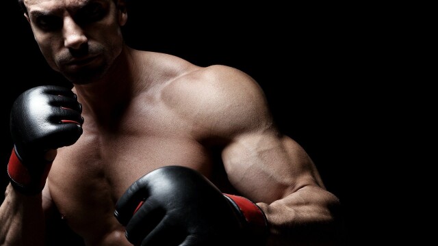 Total Combat: One Championship