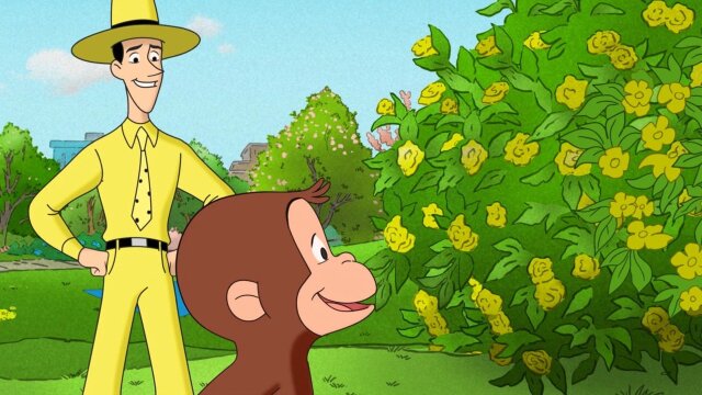 Watch Curious George Swings Into Spring Online Streaming | DIRECTV