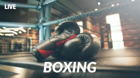 Live: Boxing