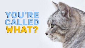 You're Called What?