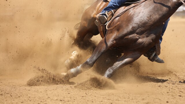 NFR Buckle Presentation