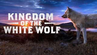 Kingdom of the White Wolf