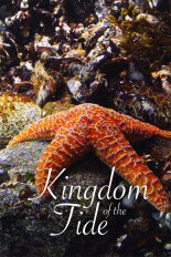 Kingdom of the Tide