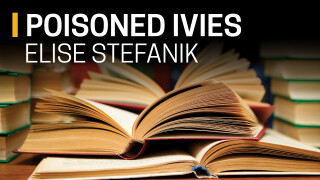 Elise Stefanik, Poisoned Ivies