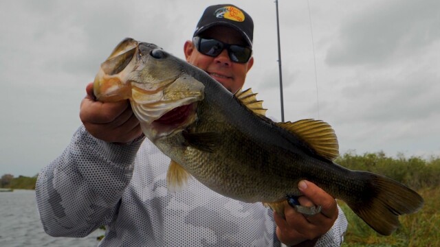 The Hunt for Monster Bass